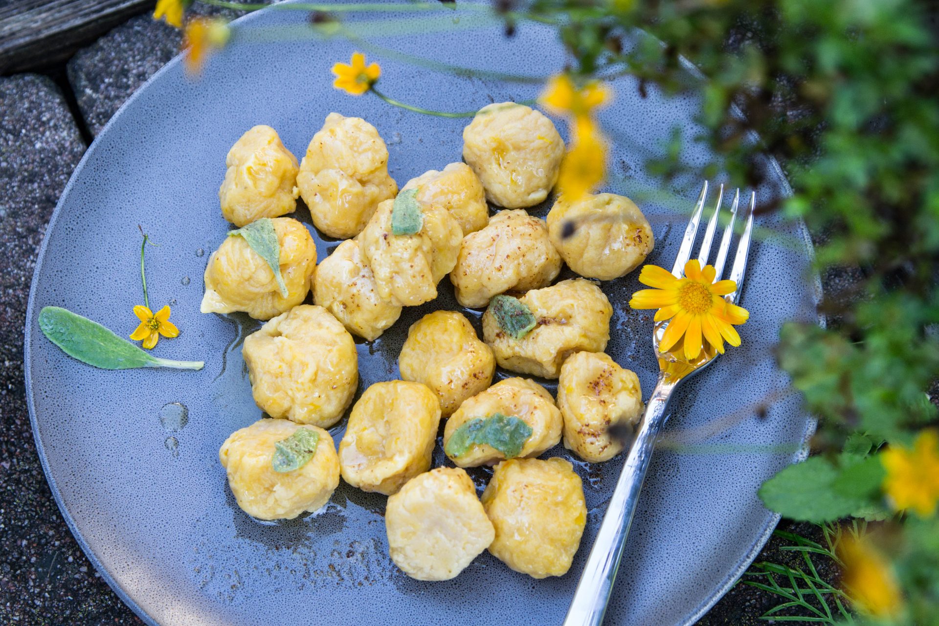 Kürbis-Gnocchi mit Salbei-Butter - Tiroler Gemüsekiste