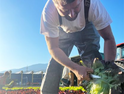Die Landwirte der Tiroler Gemüsekiste