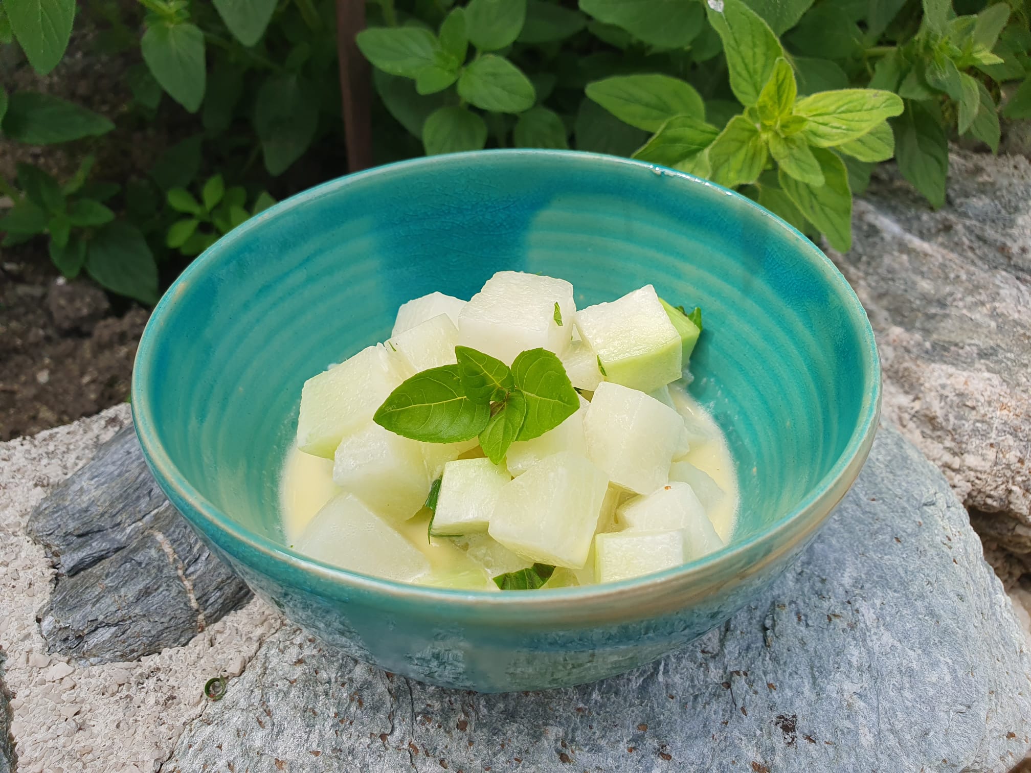 Gedünsteter Kohlrabi mit Rahm und Basilikum